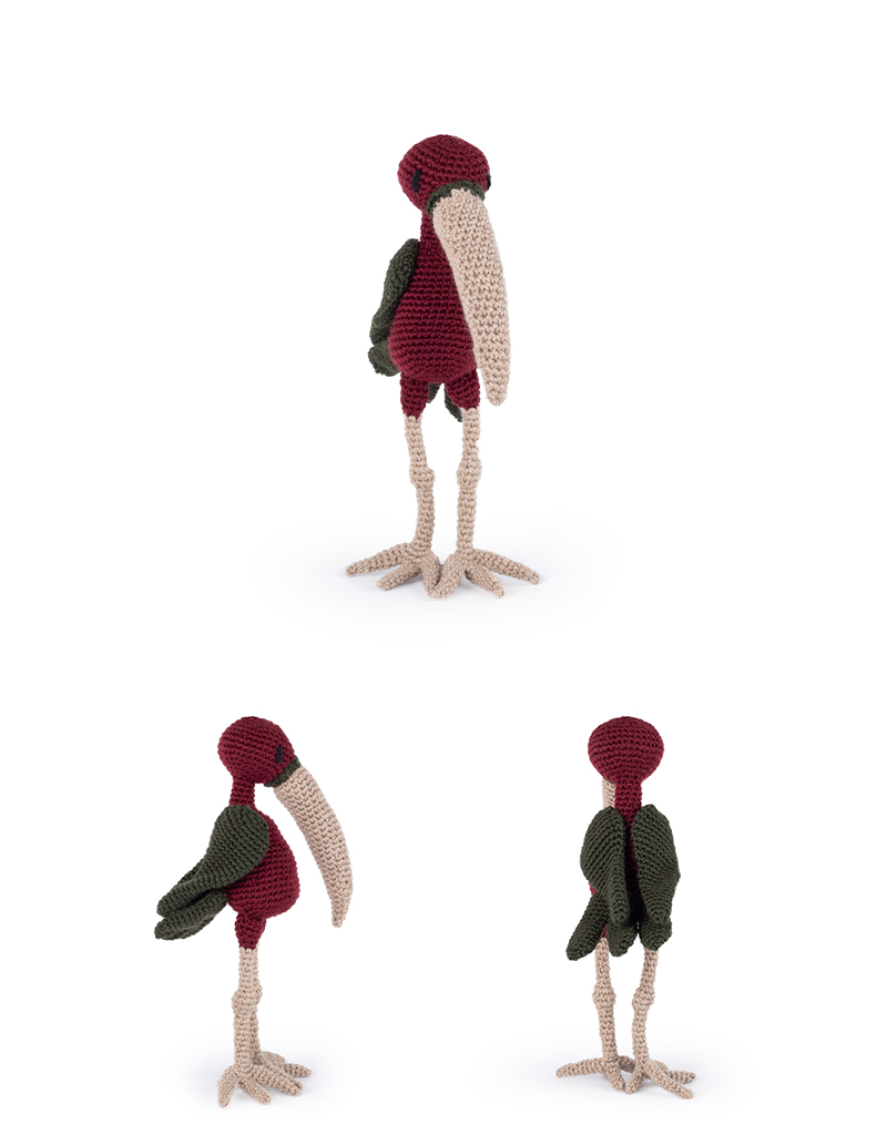 Edith the Glossy Ibis